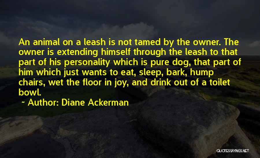 Wet Dog Quotes By Diane Ackerman