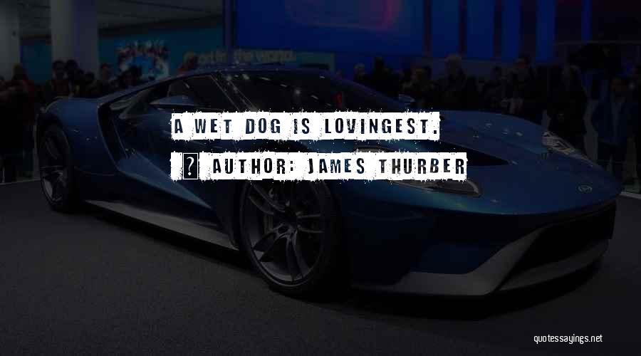 Wet Dog Quotes By James Thurber