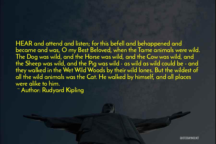 Wet Dog Quotes By Rudyard Kipling