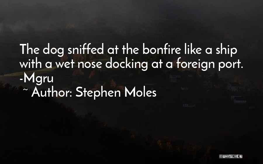 Wet Dog Quotes By Stephen Moles