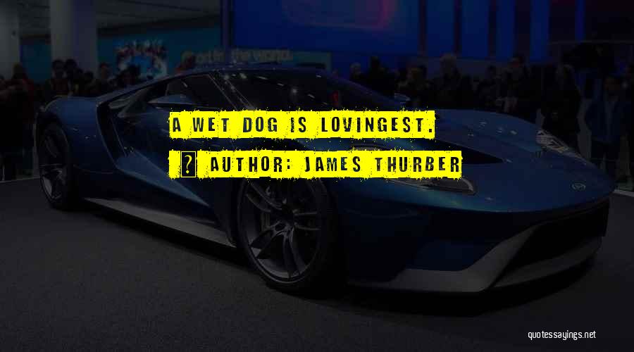 Wet Dogs Quotes By James Thurber