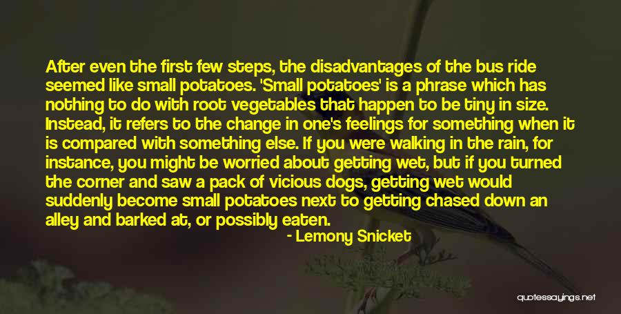 Wet Dogs Quotes By Lemony Snicket