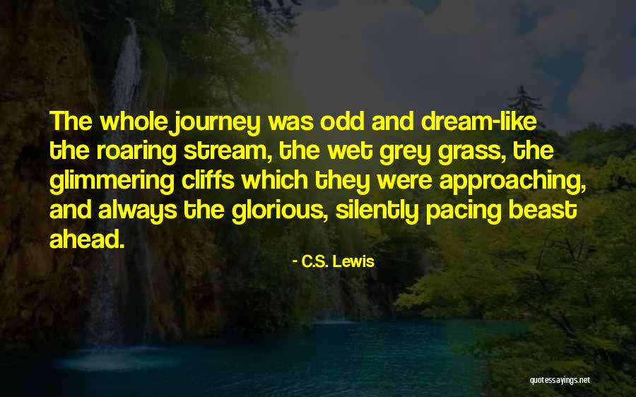 Wet Dream Quotes By C.S. Lewis Wet Dream Quotes By C.S. Lewis