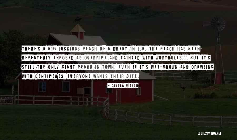 Wet Dream Quotes By Cintra Wilson Wet Dream Quotes By Cintra Wilson