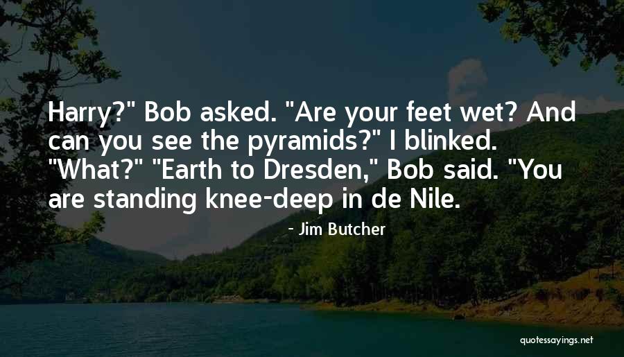 Wet Feet Quotes By Jim Butcher