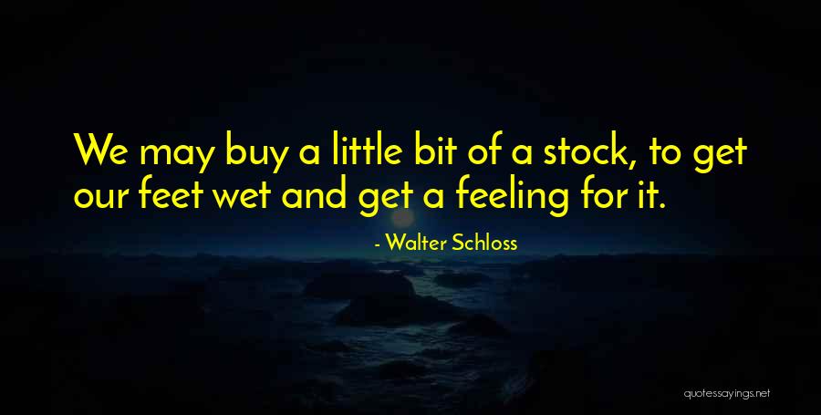 Wet Feet Quotes By Walter Schloss