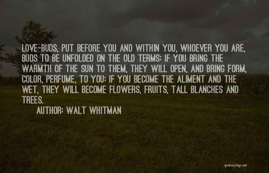Wet Flowers Quotes By Walt Whitman Wet Flowers Quotes By Walt Whitman