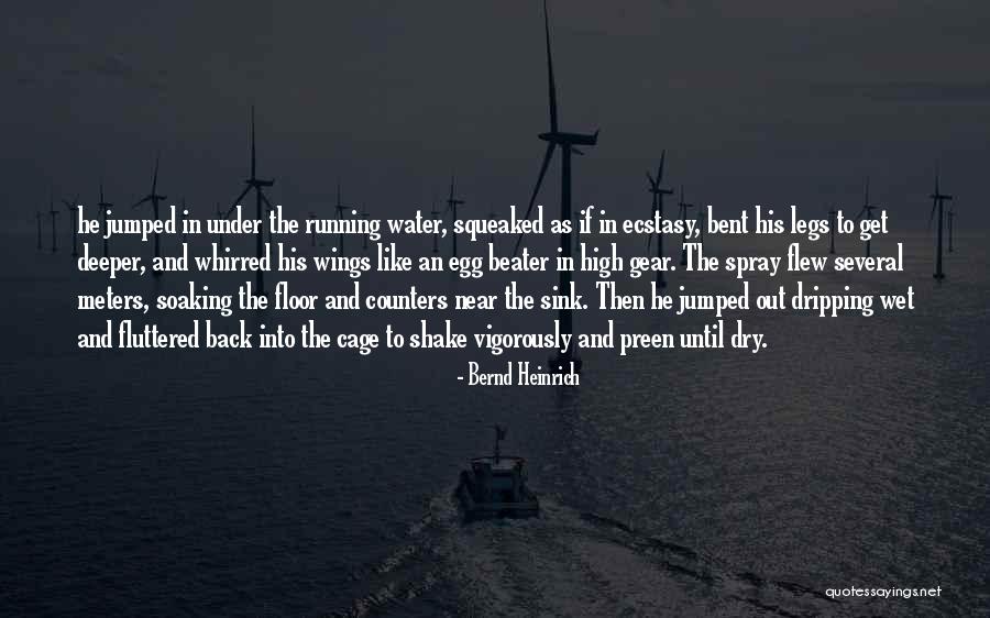 Wet Legs Quotes By Bernd Heinrich Wet Legs Quotes By Bernd Heinrich