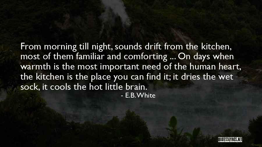 Wet Morning Quotes By E.B. White