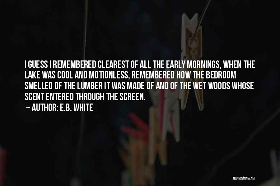 Wet Morning Quotes By E.B. White