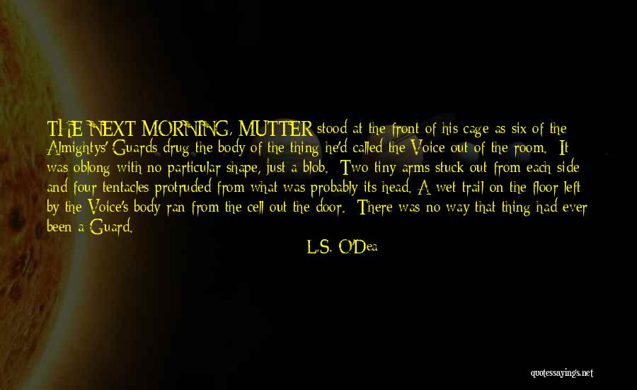 Wet Morning Quotes By L.S. O'Dea