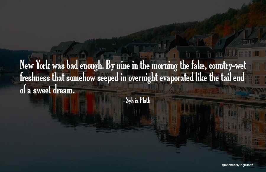 Wet Morning Quotes By Sylvia Plath