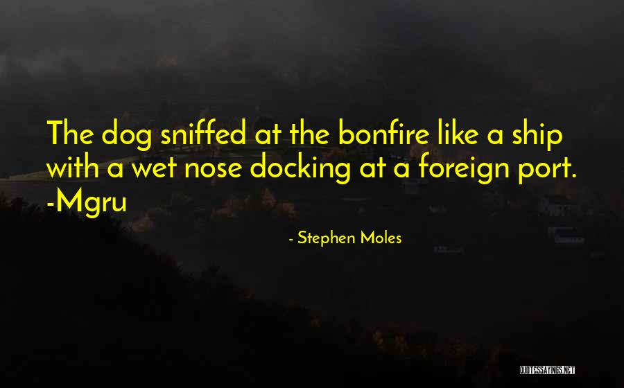 Wet Nose Quotes By Stephen Moles