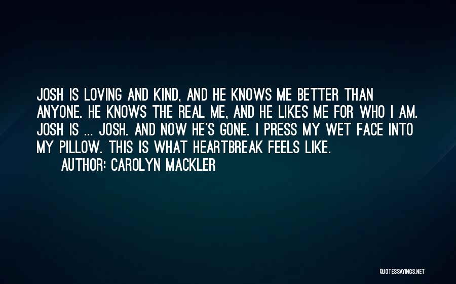 Wet Pillow Quotes By Carolyn Mackler