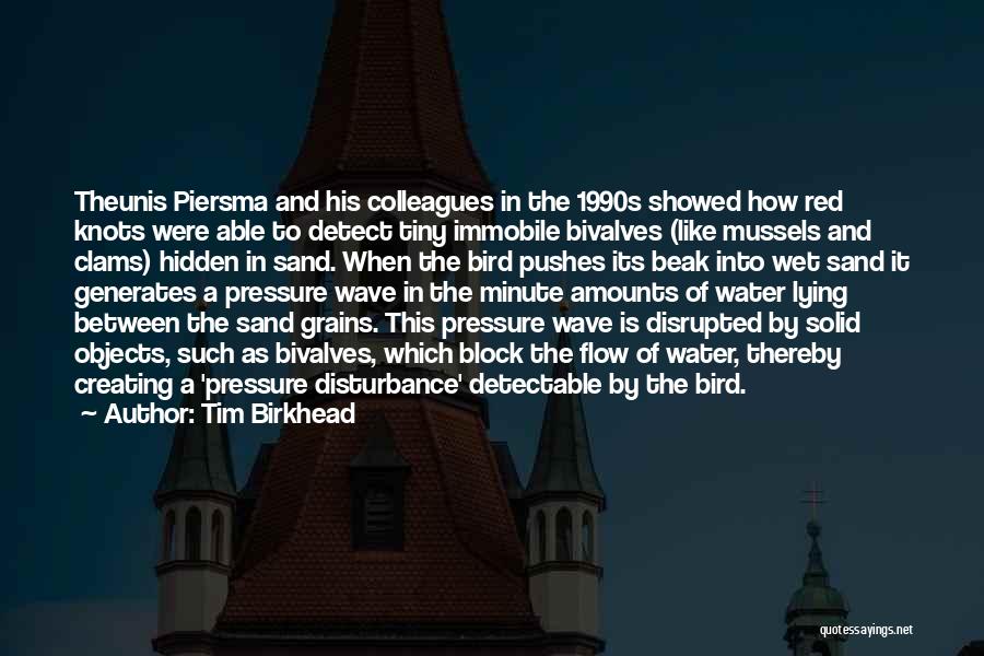 Wet Sand Quotes By Tim Birkhead Wet Sand Quotes By Tim Birkhead