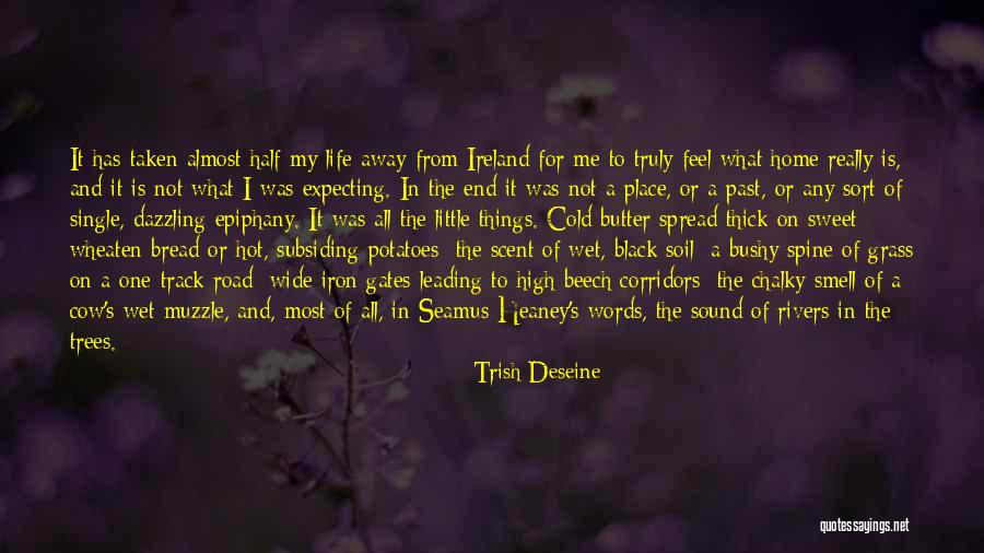 Wet Soil Quotes By Trish Deseine