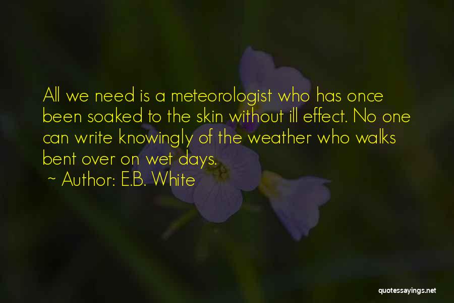 Wet Weather Quotes By E.B. White