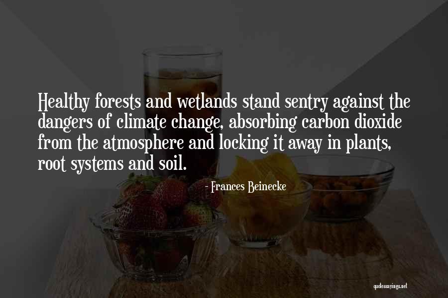 Wetlands Quotes By Frances Beinecke