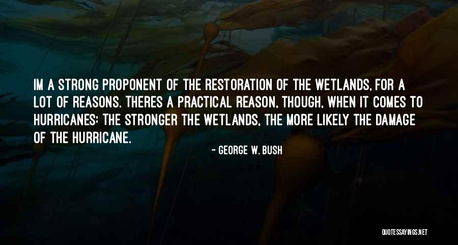 Wetlands Quotes By George W. Bush