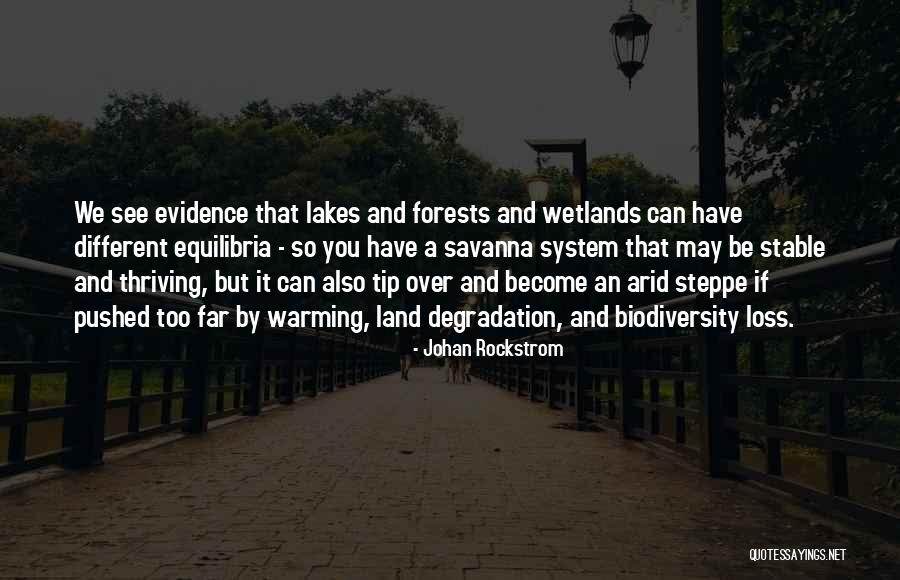 Wetlands Quotes By Johan Rockstrom