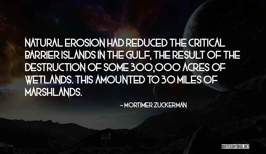 Wetlands Quotes By Mortimer Zuckerman