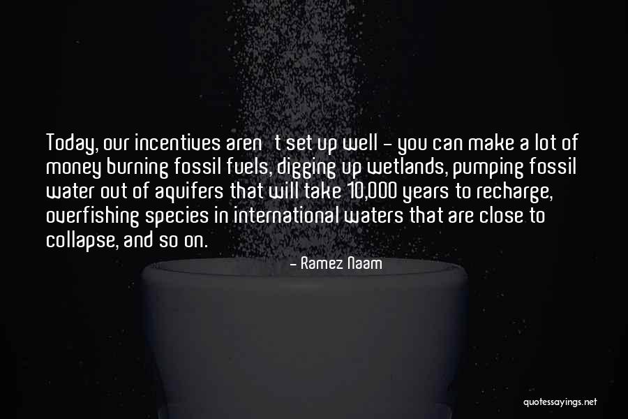 Wetlands Quotes By Ramez Naam