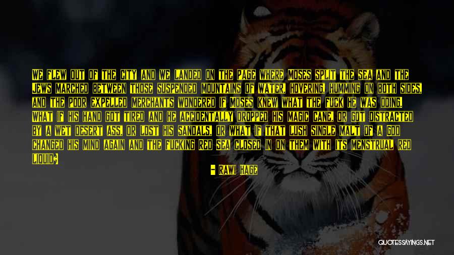 Wetovick Show Quotes By Rawi Hage Wetovick Show Quotes By Rawi Hage