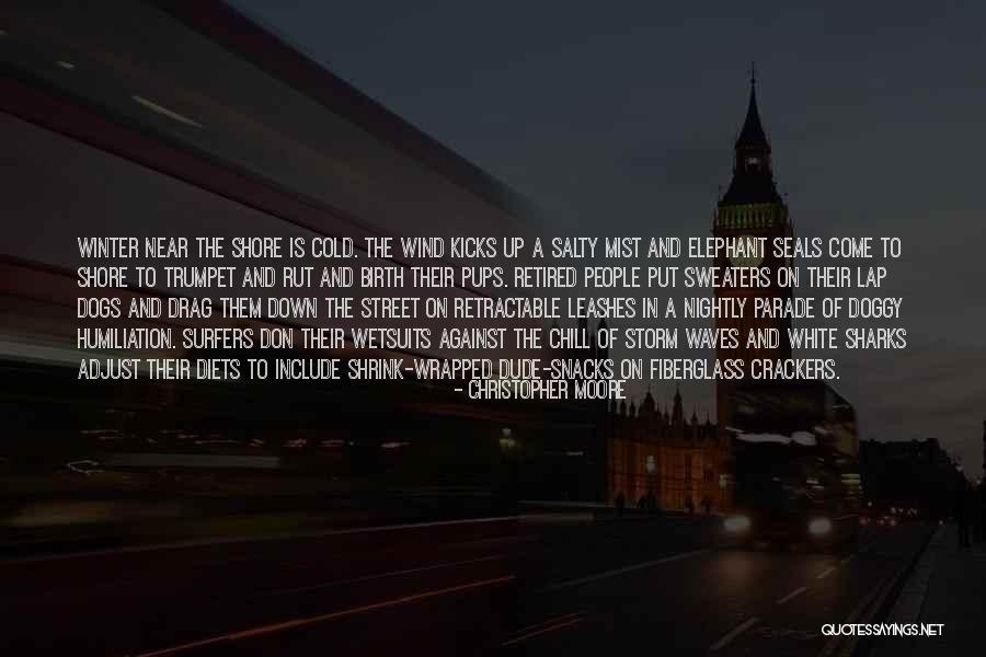Wetsuits Quotes By Christopher Moore Wetsuits Quotes By Christopher Moore