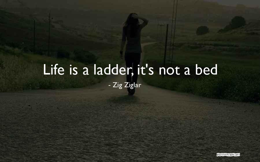 Wettach Horse Quotes By Zig Ziglar