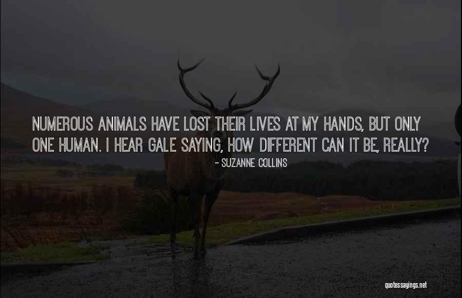 Weve Always Done It That Way Quotes By Suzanne Collins Weve Always Done It That Way Quotes By Suzanne Collins