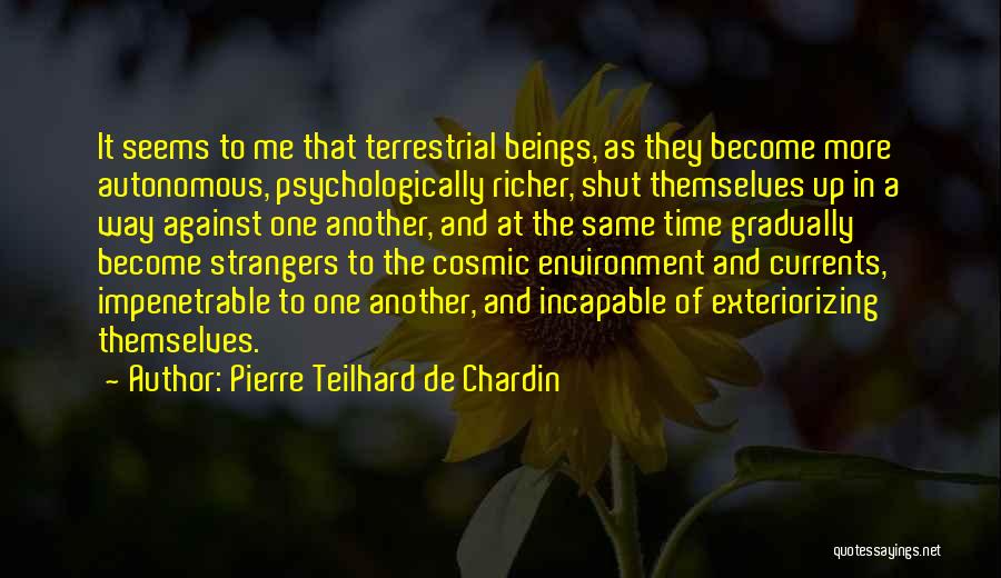 We've Become Strangers Quotes By Pierre Teilhard De Chardin