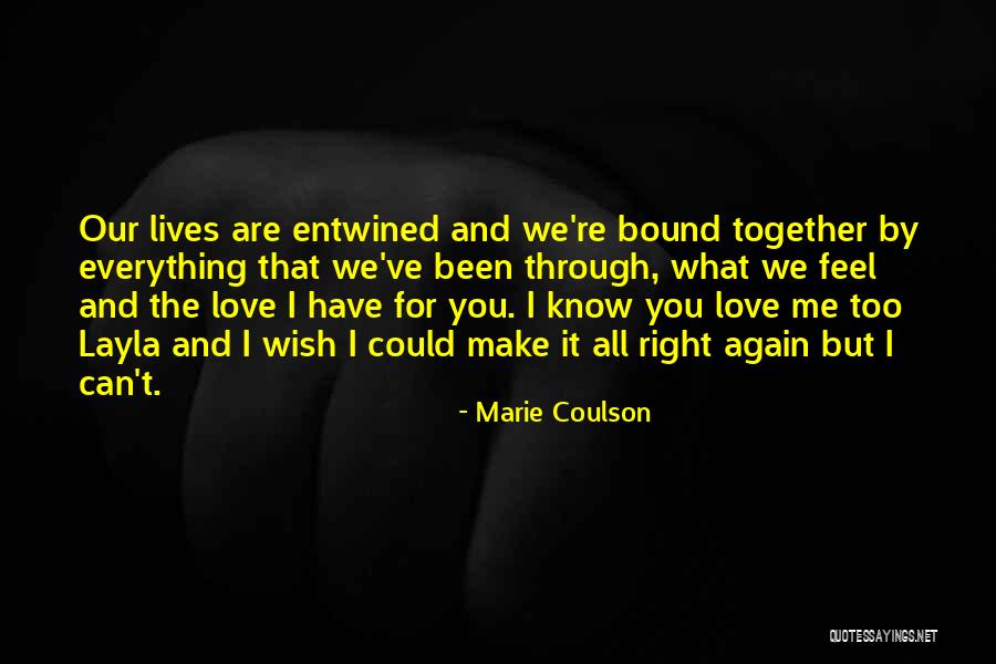 We've Been Through It All Quotes By Marie Coulson