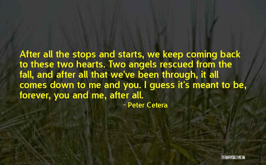 We've Been Through It All Quotes By Peter Cetera