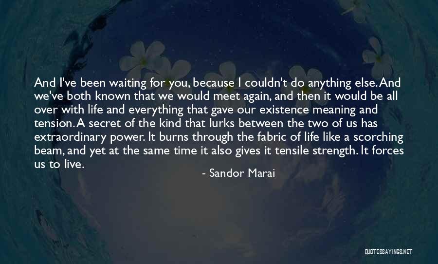 We've Been Through It All Quotes By Sandor Marai We've Been Through It All Quotes By Sandor Marai
