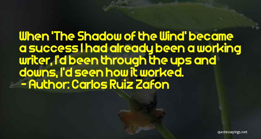 We've Been Through Ups And Downs Quotes By Carlos Ruiz Zafon