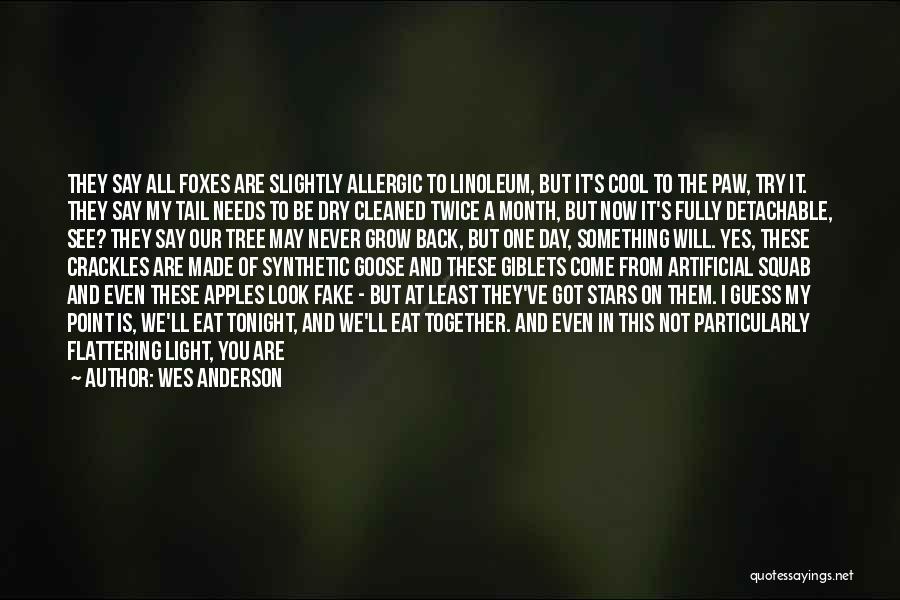 We've Got Tonight Quotes By Wes Anderson