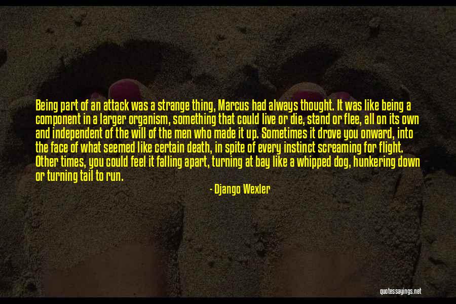 Wexler Quotes By Django Wexler Wexler Quotes By Django Wexler