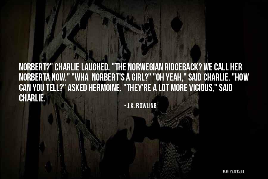 Wha Quotes By J.K. Rowling Wha Quotes By J.K. Rowling