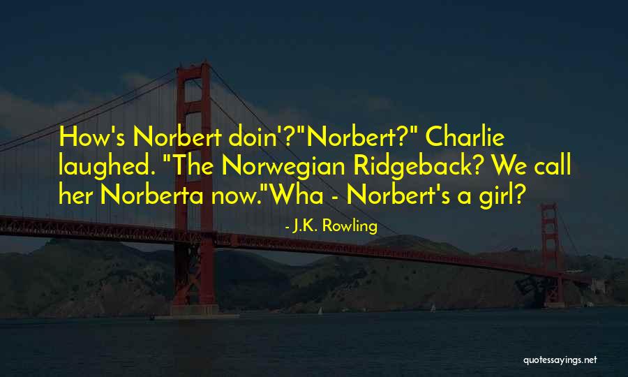 Wha Quotes By J.K. Rowling Wha Quotes By J.K. Rowling