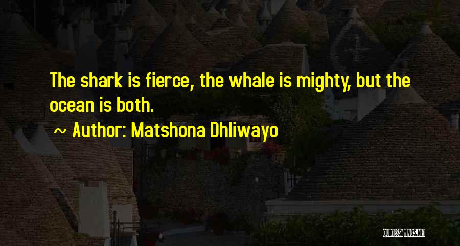 Whale Shark Quotes By Matshona Dhliwayo