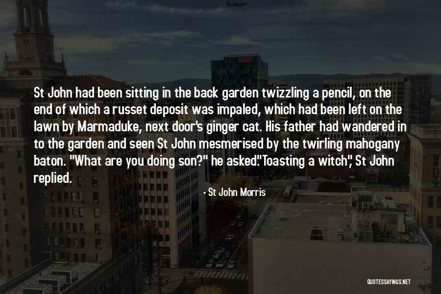 Whaleboat Reviews Quotes By St John Morris Whaleboat Reviews Quotes By St John Morris