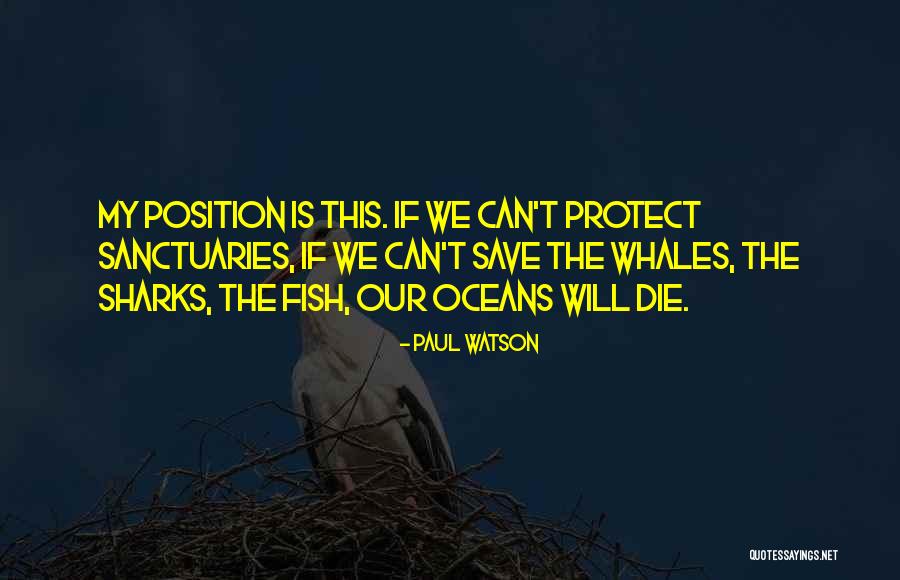 Whales And Ocean Quotes By Paul Watson Whales And Ocean Quotes By Paul Watson