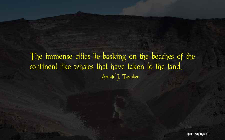 Whales Quotes By Arnold J. Toynbee