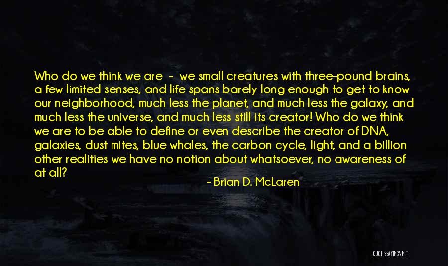 Whales Quotes By Brian D. McLaren Whales Quotes By Brian D. McLaren