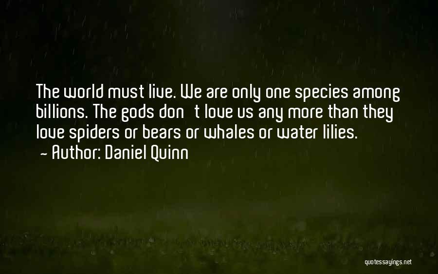 Whales Quotes By Daniel Quinn