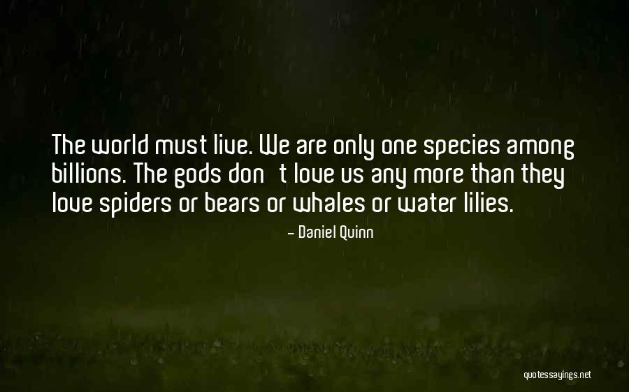 Whales Quotes By Daniel Quinn