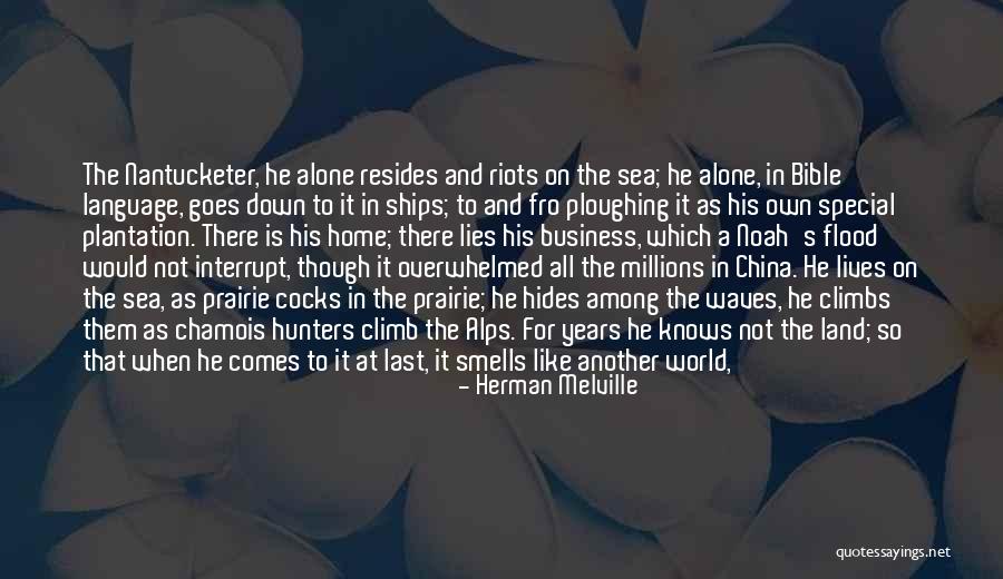 Whales Quotes By Herman Melville Whales Quotes By Herman Melville