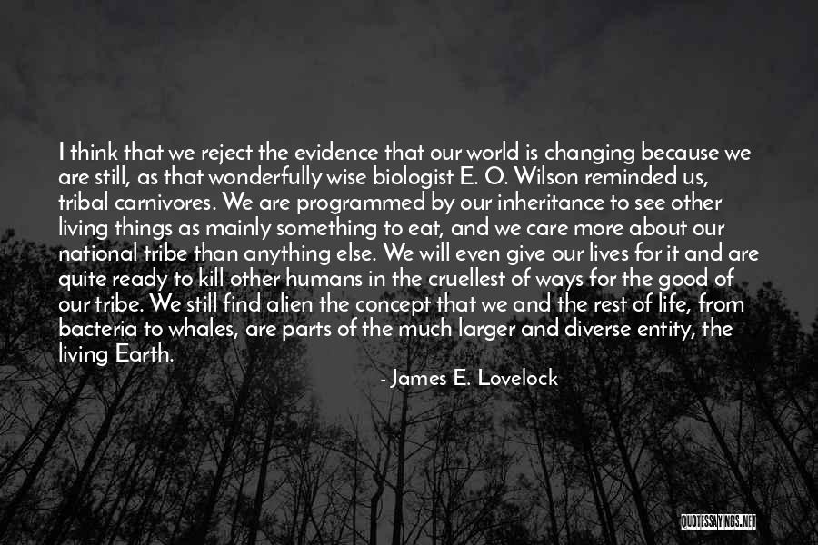 Whales Quotes By James E. Lovelock Whales Quotes By James E. Lovelock