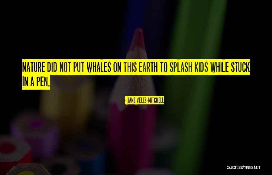Whales Quotes By Jane Velez-Mitchell Whales Quotes By Jane Velez-Mitchell