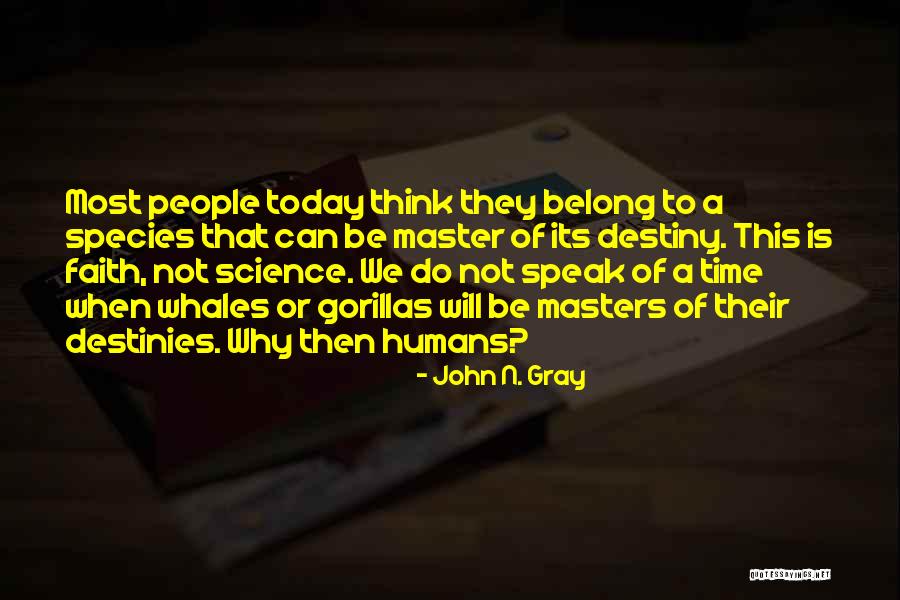 Whales Quotes By John N. Gray Whales Quotes By John N. Gray